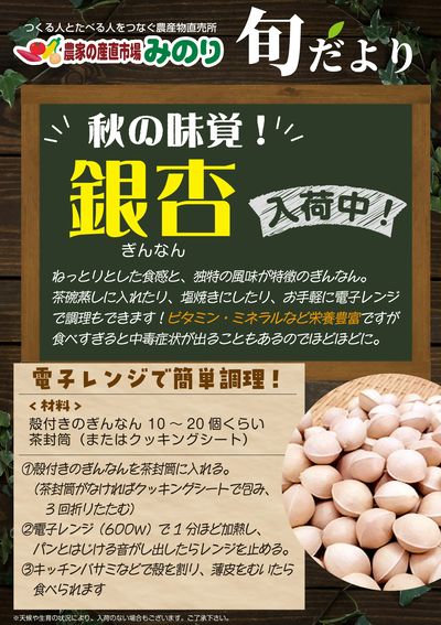 みのり_銀杏が入荷しました!