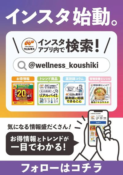 ウェルネス インスタ始動