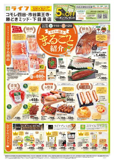 4/11号 ライフの魅力まるごと紹介