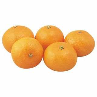 みかん(2Lサイズ)