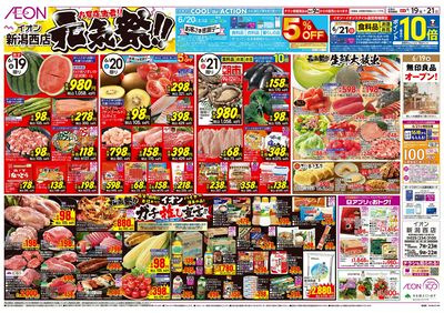 6/19号 お買得満載!元気祭!:表面