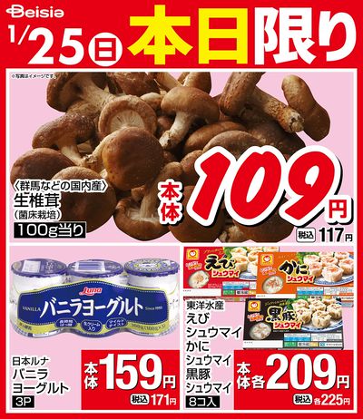 1/25限りのお買い得!