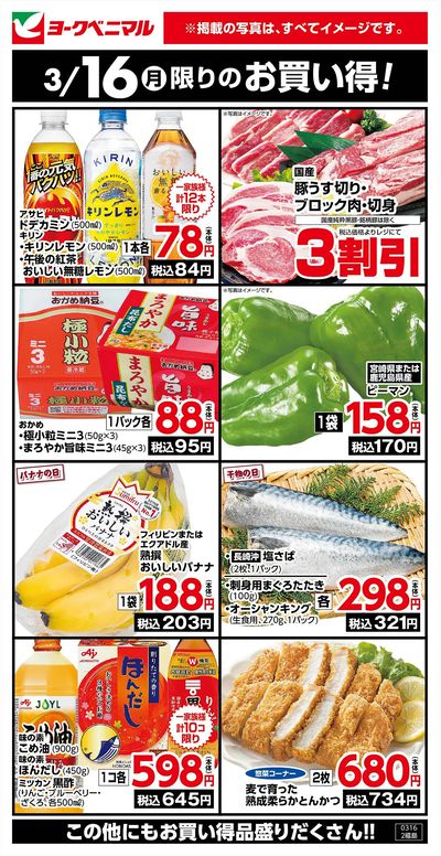 3/16限りのお買い得!