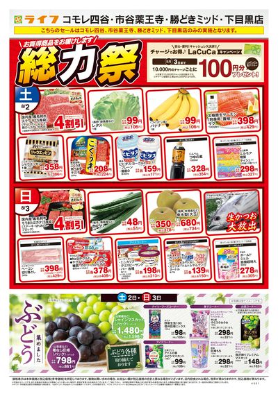 8/2号 総力祭/ぶどう集めました