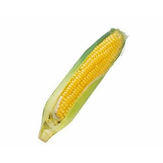 群馬県産他とうもろこし