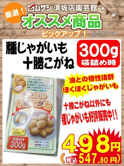 ムサシ須坂店おススメ商品!