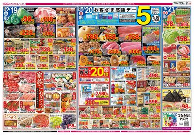 9/19号 イオン100周年/お客さま感謝デー:ウラ