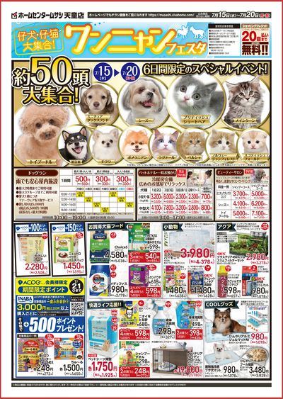 7月15日号チラシ 表面