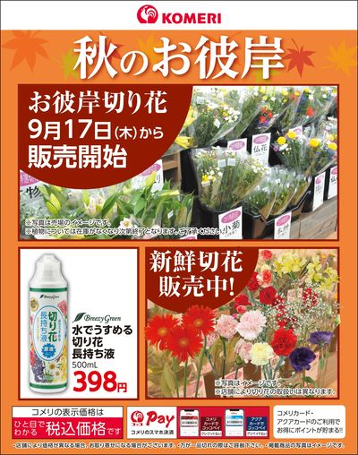秋のお彼岸 切り花