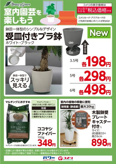 室内園芸を楽しもう