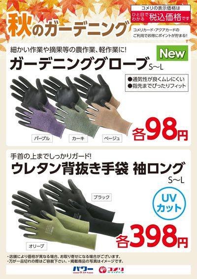 秋のガーデニング