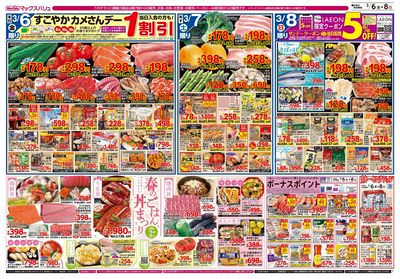 3/6号 イオン100周年記念特別価格/カメさんデー/春のごはん丼まつり:ウラ