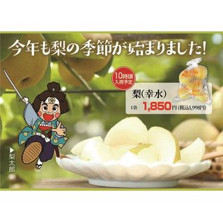 梨(幸水)1袋