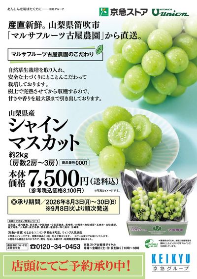 産直新鮮。シャインマスカットご予約承り中