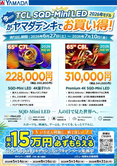 【TCL】ヤマダデンキでお買い得!
