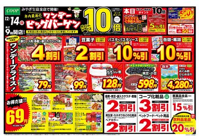 ワンデービッグバーゲン オモテ