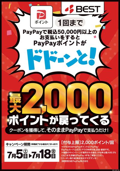 PayPayポイントがドドーンと!最大2,000ポイントが戻ってくる