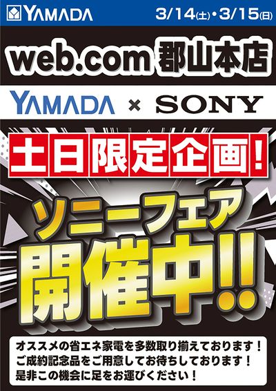 ソニーフェア開催中!