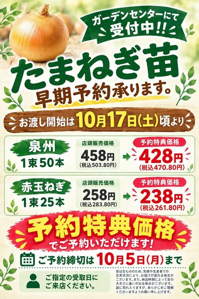 玉ねぎ苗早期予約