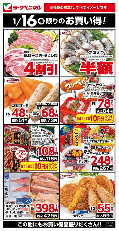 1/16限りのお買い得!