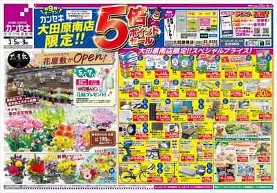 大田原南店限定!5倍ポイントセール開催!