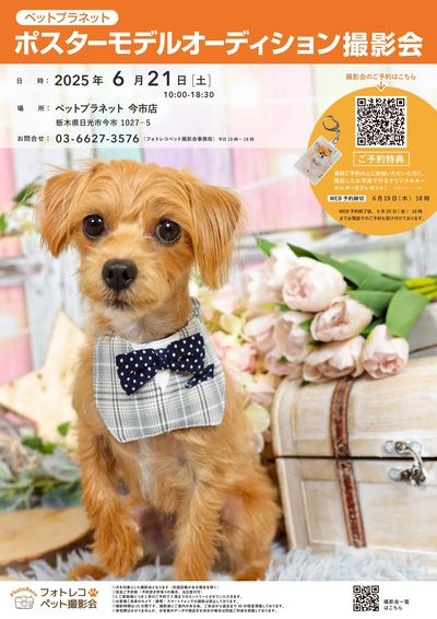 ポスターモデルオーディション撮影会を開催!ご予約は下のボタンから!
