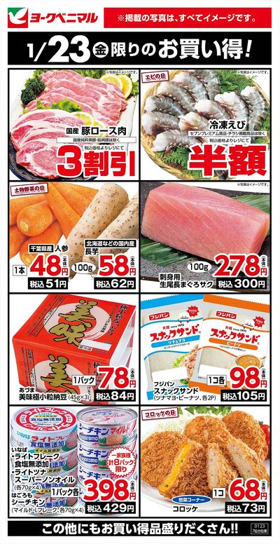 1/23限りのお買い得!