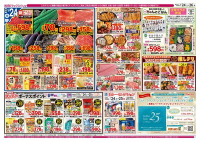 1/24号 カメさんデー:オモテ