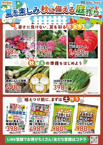 夏を楽しみ秋に備える庭作り