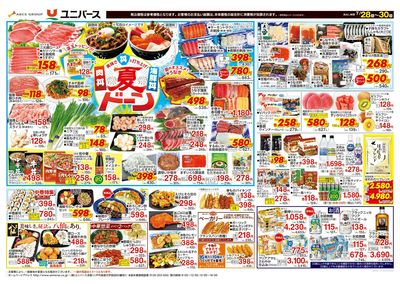 夏ドーン!