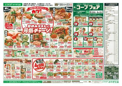 丼・カレー+コープフェア ウラ