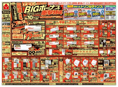 BIGボーナス衝撃特価!(おもて)