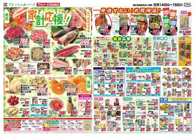 0514号-いわき裏