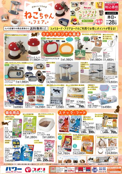 ねこちゃんフェア