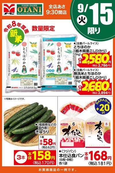 本日の日替わり商品はこちら!