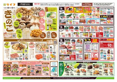 9/16号 とことん旬!きのこ