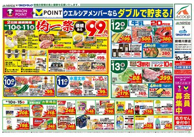 JA-F×前橋川原 6.10号 日替わり