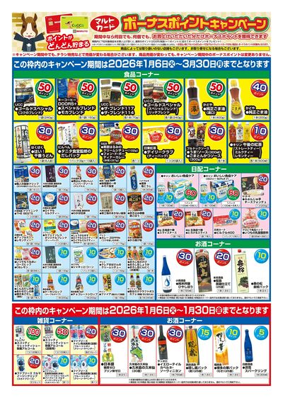マルトカード ボーナスポイントキャンペーン(裏)