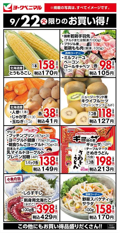9/22限りのお買い得!