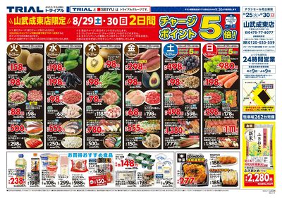 トライアル 山武成東店_表