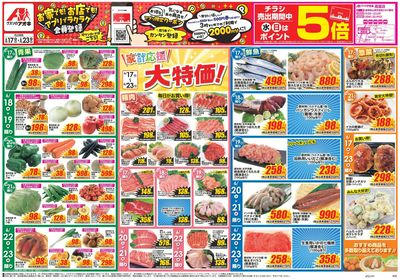 6月17日開始チラシ:表