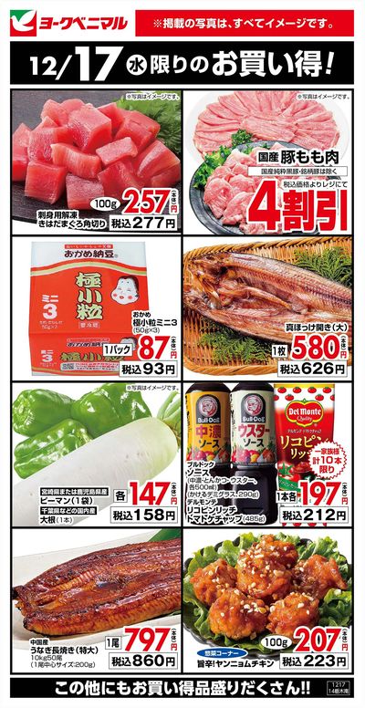 12/17限りのお買い得!