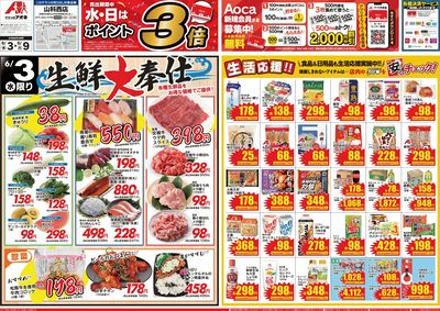 6月3日開始チラシ:表