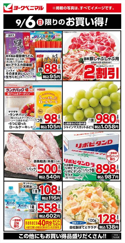 9/6限りのお買い得!