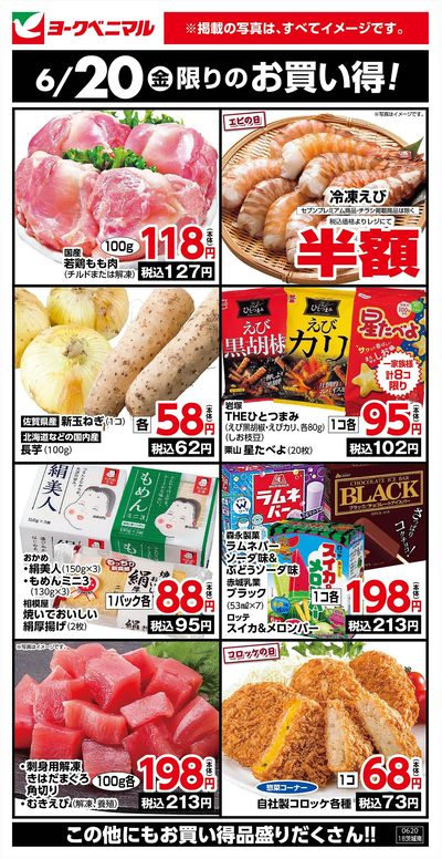 6/20限りのお買い得!