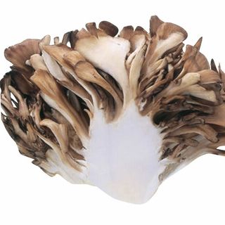 <新潟県産>雪国極まいたけ