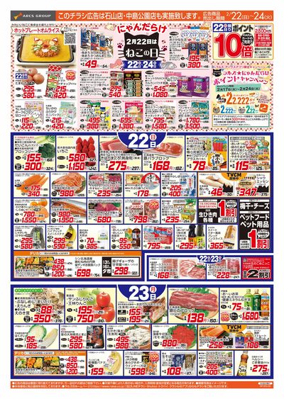 2/22-24 ねこの日