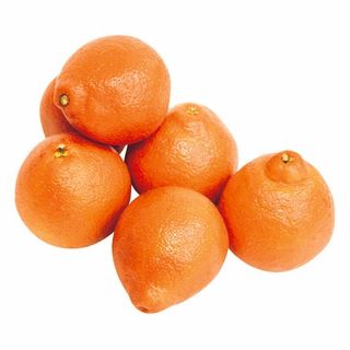 <アメリカ産他>ミネオラオレンジ