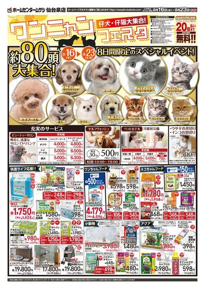 9月16日号チラシ 表面