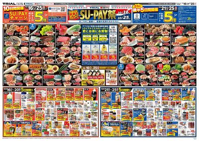 トライアル日向店_表